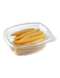 ▷ Tarrina de Bisagra 2.000 cc - Envío 24h - Envases del Mediterráneo 2